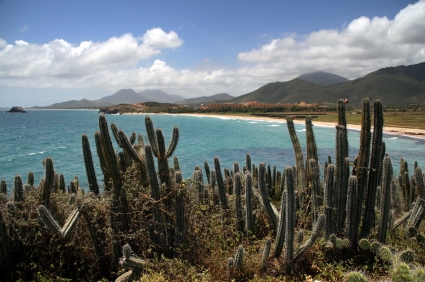 Isla Margarita